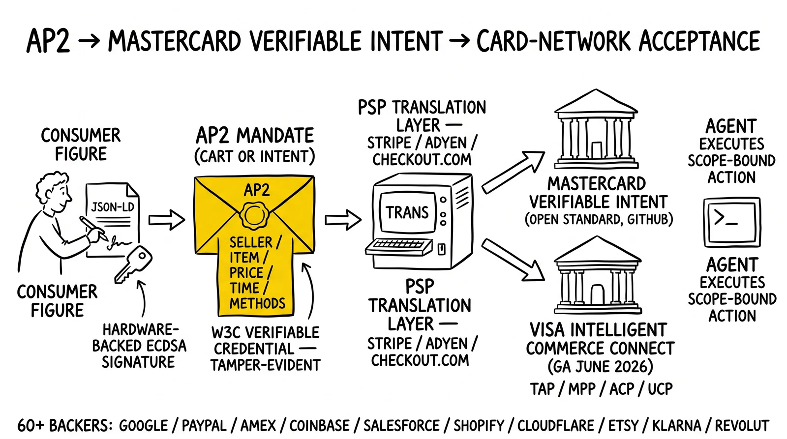 Translation stack for agentic consent: consumer signs an AP2 Mandate, PSPs translate it, Mastercard and Visa accept it, with the Mandate primitive itself highlighted as the news.
