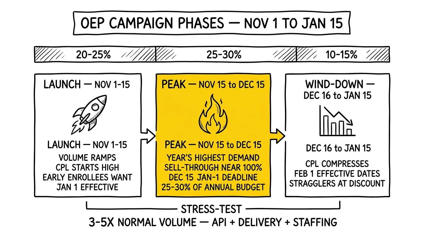 Three OEP phases – Launch, Peak, Wind-Down – with budget shares and the Dec 15 January-1 effective-date deadline driving peak demand
