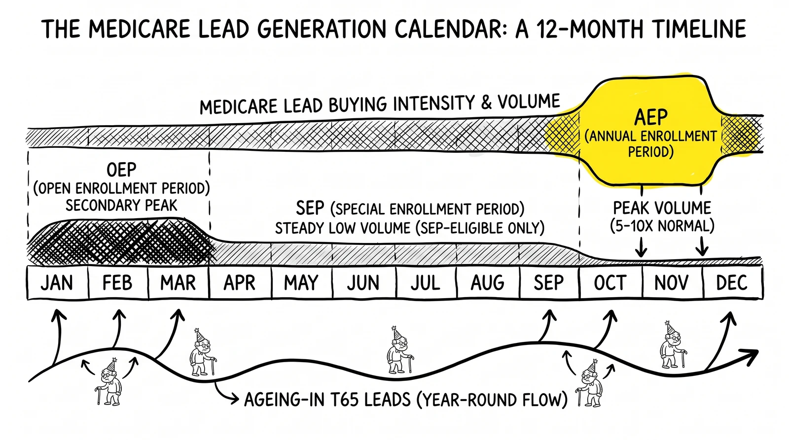 Medicare lead-buying calendar showing AEP, OEP, and SEP enrollment periods across the year with T65 age-in volume.